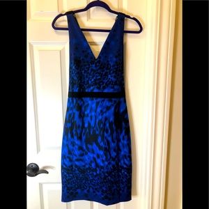 Ted Baker London Dress
